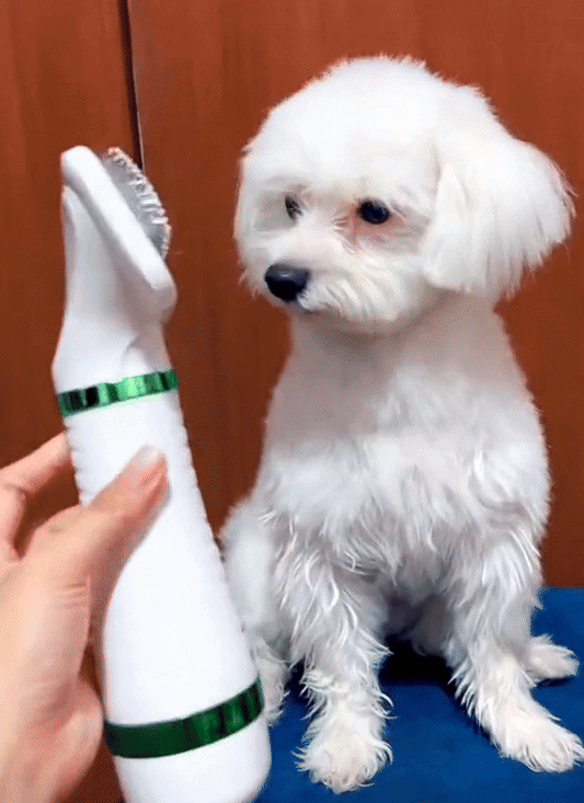 SEPILLO SECADOR PARA MASCOTAS